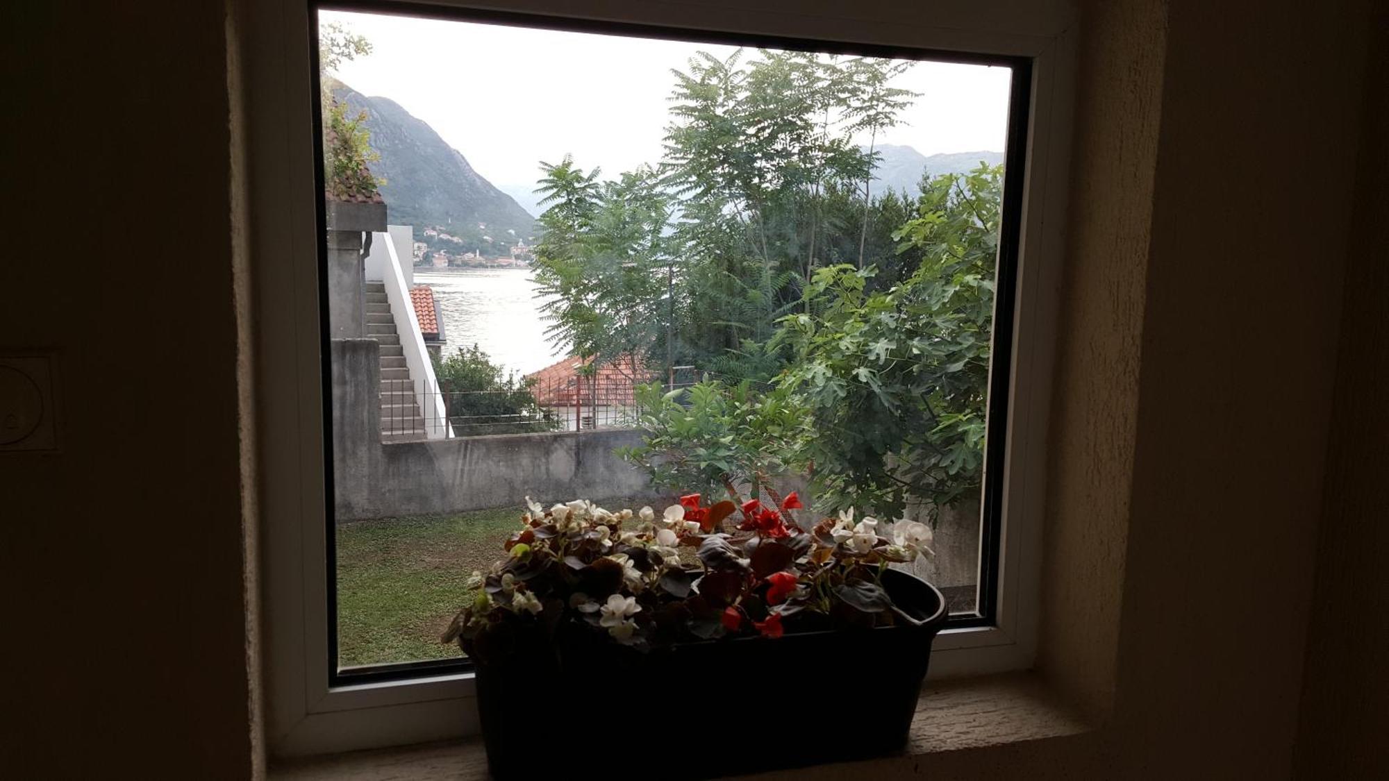 Apartments 101 Kotor Chambre photo